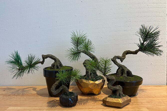 Exclusive Kanazawa Craft Bonsai Experience with Black Tile Pot - Who Will Love This Experience?