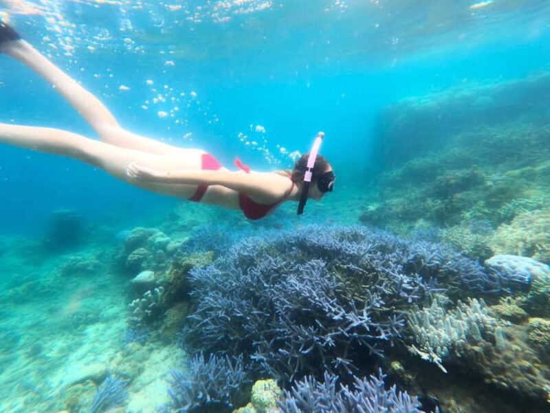 Exclusive Lombok Fishing & Snorkeling Tour Across 4 Gilis - Gili Rengit: Relax or Fish