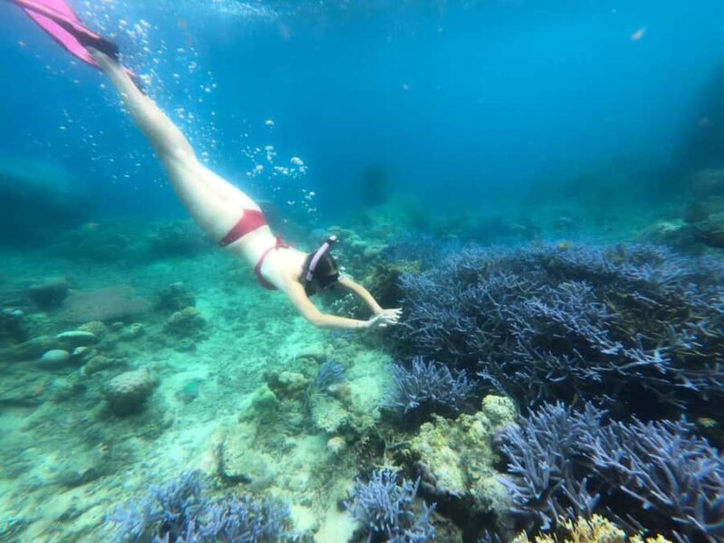 Exclusive Lombok Fishing & Snorkeling Tour Across 4 Gilis - What’s Included and What to Bring