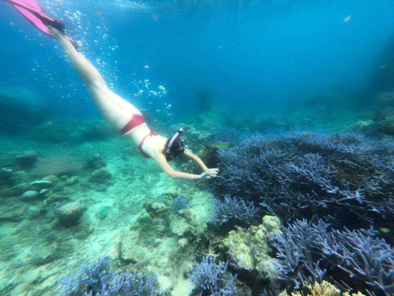 exclusive-lombok-fishing-snorkeling-tour-across-4-gilis