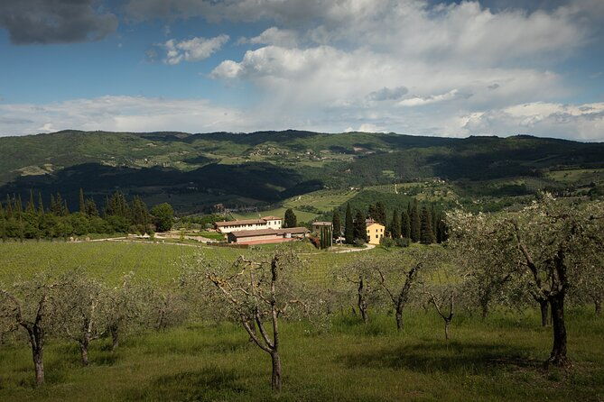 exclusive-lunch-tour-and-wine-tasting-at-a-chianti-classic-winery-2