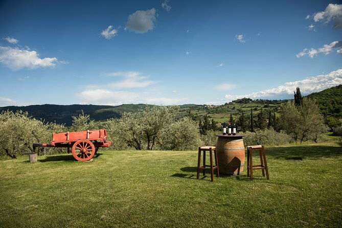 exclusive-lunch-tour-and-wine-tasting-at-a-chianti-classic-winery