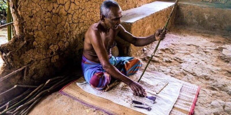 exclusive-madu-river-safari-turtle-farm-tour-from-colombo