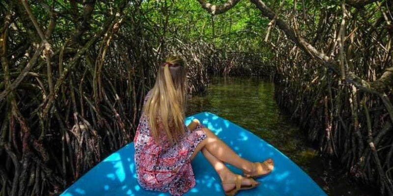 exclusive-madu-river-safari-turtle-farm-tour-from-colombo