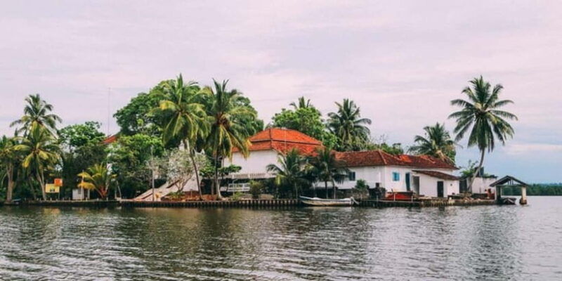 exclusive-madu-river-safari-turtle-farm-tour-from-colombo