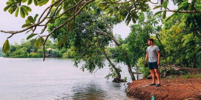 exclusive-madu-river-safari-turtle-farm-tour-from-colombo