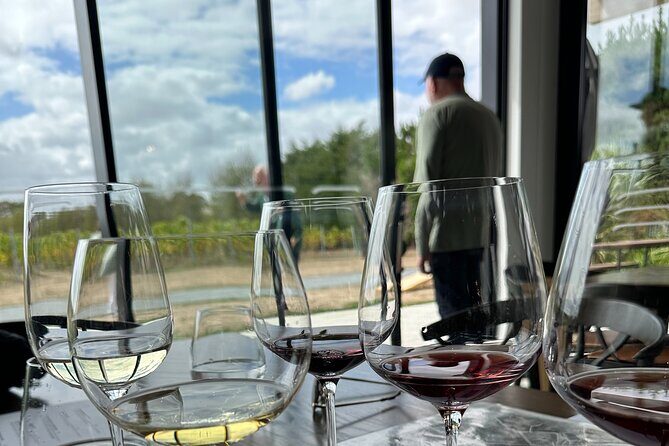 Exclusive Martinborough Wine Tour - Analyzing the Price and Overall Value