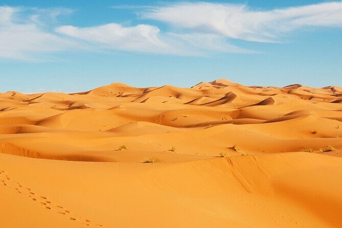 Exclusive Merzouga Desert Safari: Camel Ride, Sandsurf & Dinner - FAQ