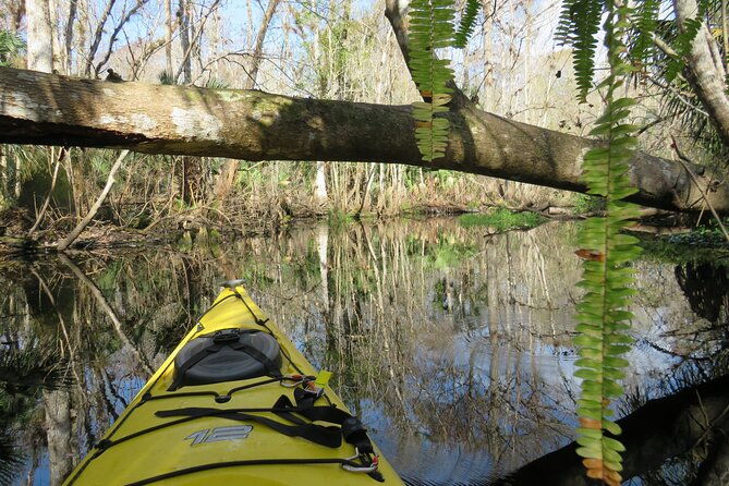 exclusive-nature-escape-kayak-adventure-on-blackwater-creek-2