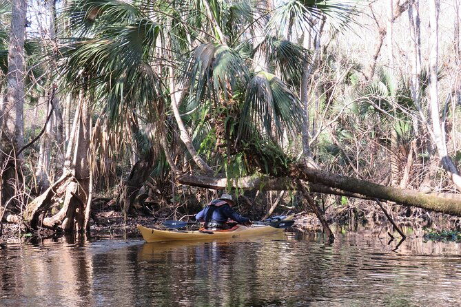 exclusive-nature-escape-kayak-adventure-on-blackwater-creek-2