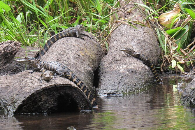 exclusive-nature-escape-kayak-adventure-on-blackwater-creek
