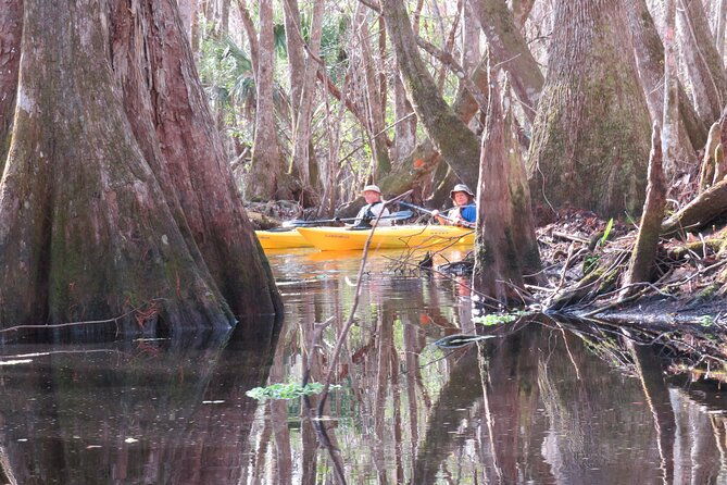 exclusive-nature-escape-kayak-adventure-on-blackwater-creek