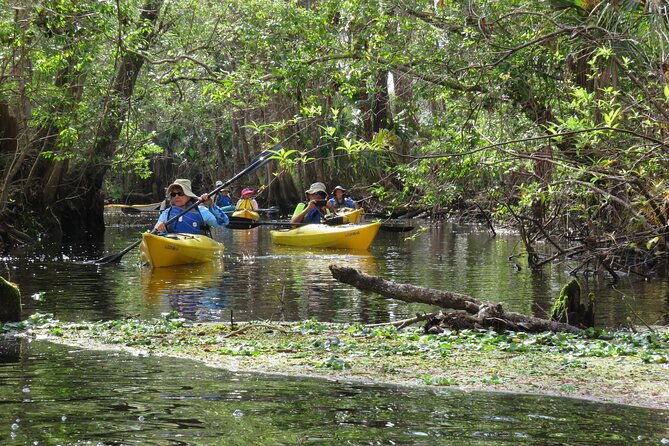 exclusive-nature-escape-kayak-adventure-on-blackwater-creek