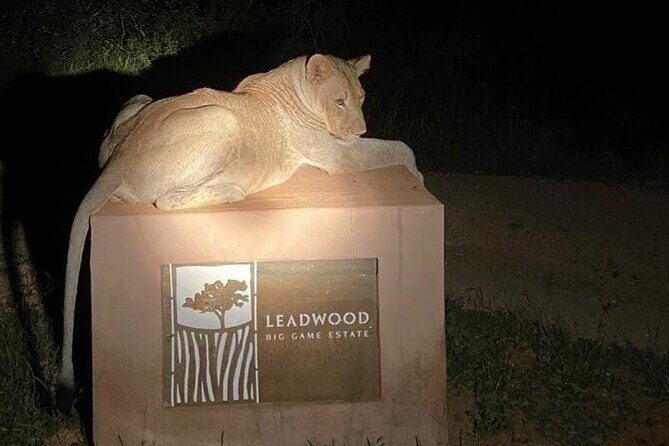 Exclusive Night Drive Safari near Hoedspruit - Transportation and Practicalities