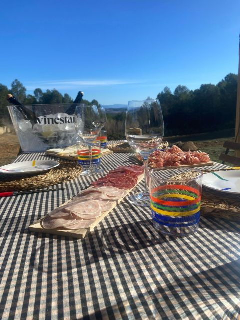 exclusive-penedes-wine-tour-brunch-in-the-vineyard