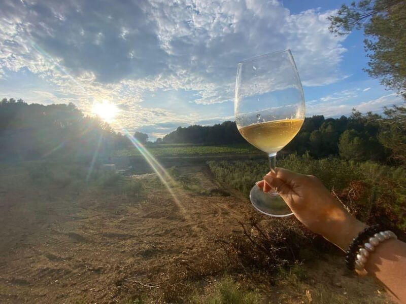 exclusive-penedes-wine-tour-brunch-in-the-vineyard