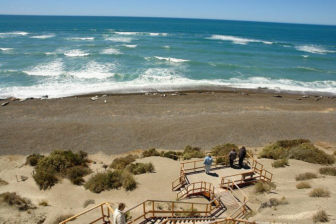 exclusive-peninsula-valdes-nature-wildlife-for-cruise-guests
