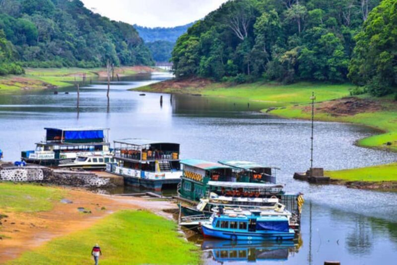 Exclusive Periyar Wildlife Sanctuary Tour(02 Nights/03 Days) - Practicalities and Considerations
