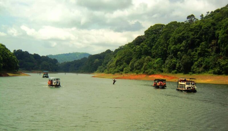 Exclusive Periyar Wildlife Sanctuary Tour(02 Nights/03 Days) - FAQs