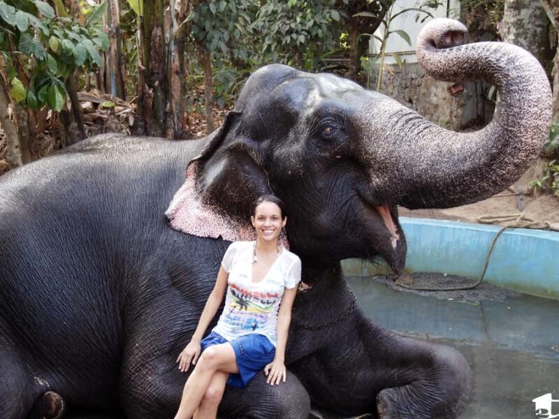 Exclusive Periyar Wildlife with Elephant Bath Tour (03 Days) - Diving Into the Itinerary