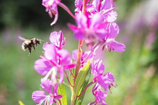 exclusive-photography-tour-haines-departure-2