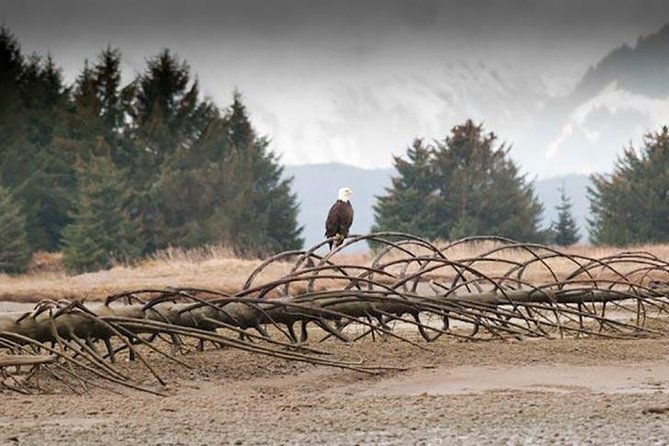 exclusive-photography-tour-haines-departure-2