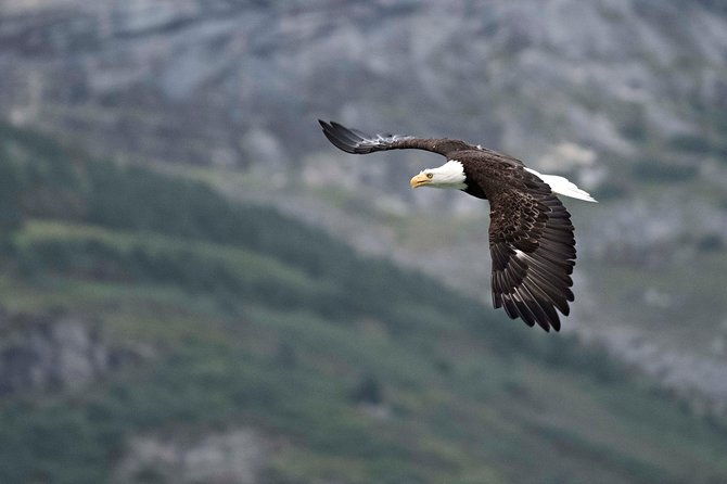 exclusive-photography-tour-haines-departure