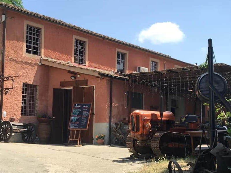 Exclusive Pisa Florence Tour with Wine Tasting from Livorno - Who is this tour best suited for?