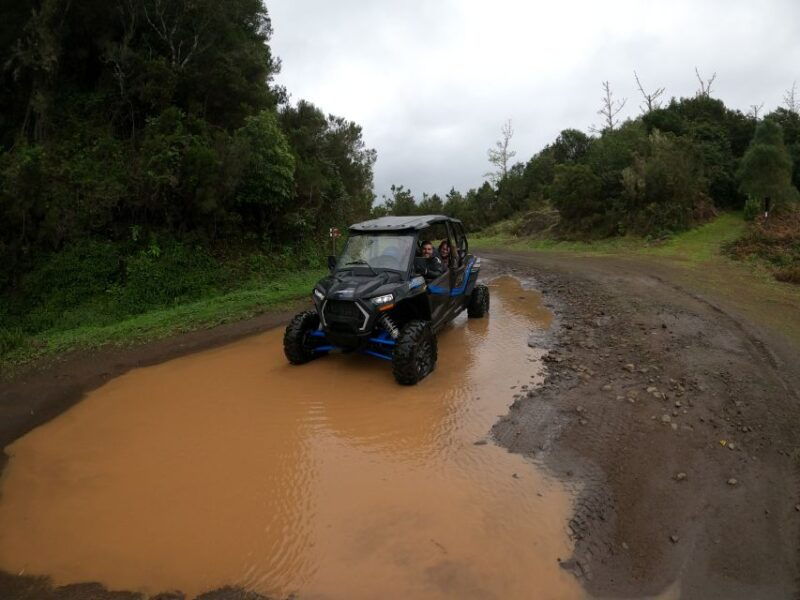 exclusive-private-buggy-adventure-forest-and-mountains-2