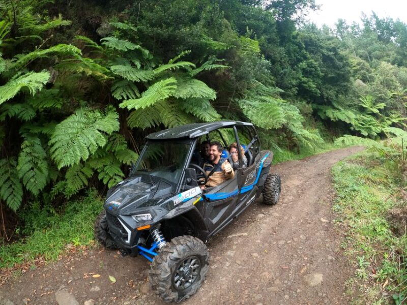 exclusive-private-buggy-adventure-forest-and-mountains-2