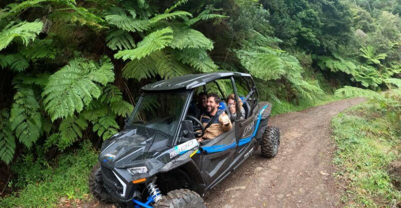 exclusive-private-buggy-adventure-forest-and-mountains-2