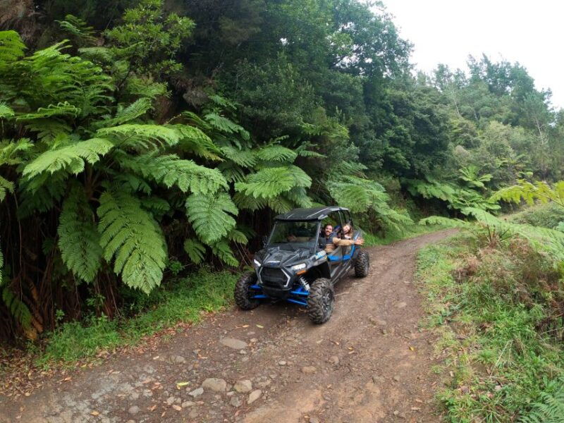 exclusive-private-buggy-adventure-forest-and-mountains-2