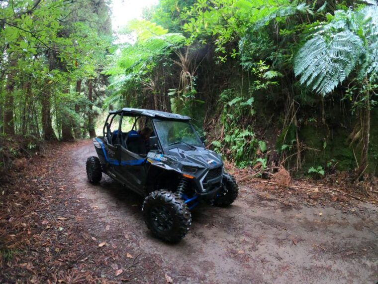 exclusive-private-buggy-adventure-forest-and-mountains-2