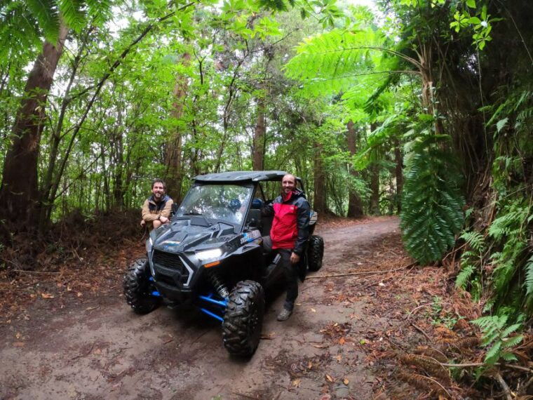 exclusive-private-buggy-adventure-forest-and-mountains-2