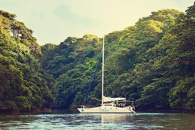 Exclusive Private Catamaran Adventure: Ile aux Cerf (Full Day Cruise incl Lunch) - Final Thoughts