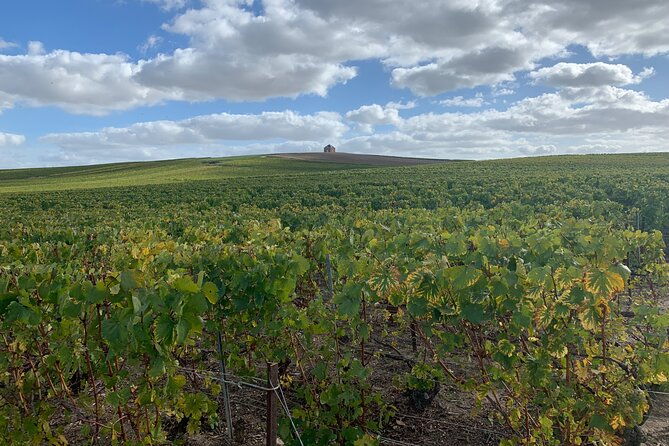 exclusive-private-champagne-tour-from-paris-with-tastings