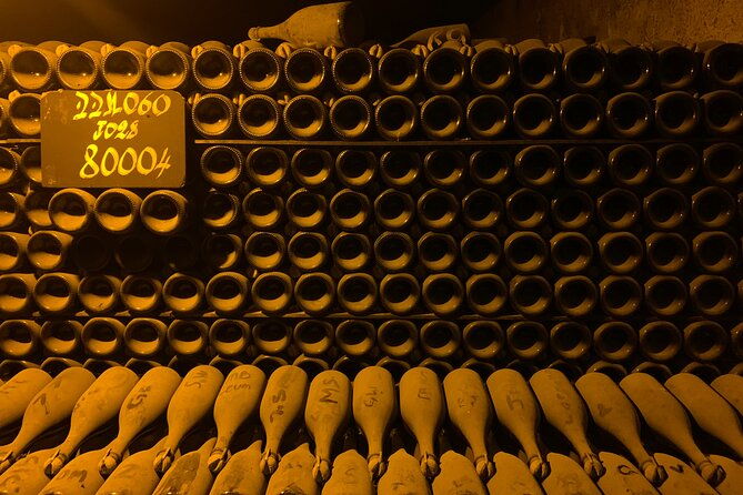 exclusive-private-champagne-tour-from-paris-with-tastings