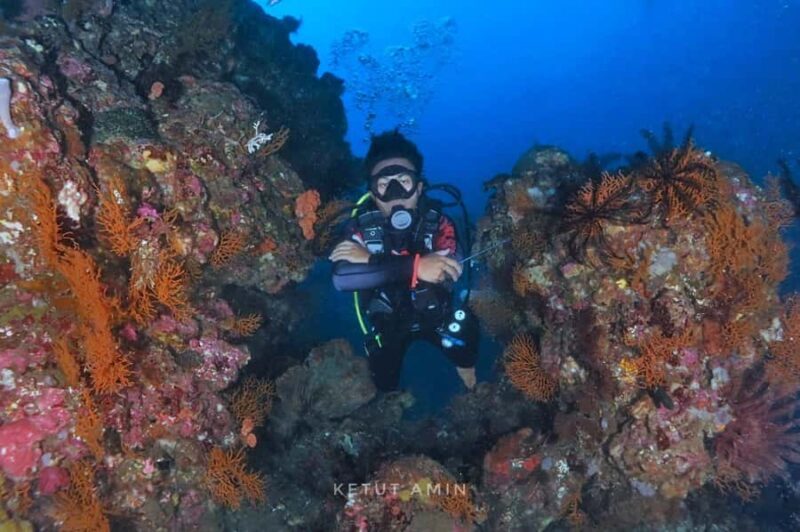 Exclusive private dive guide and underwater photography - Why This Private Dive Experience Stands Out