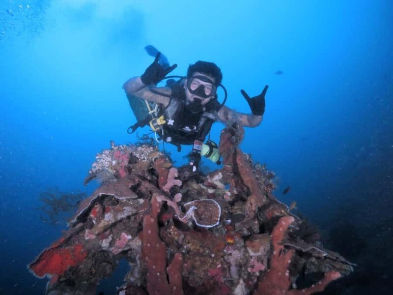 Exclusive private dive guide and underwater photography - Practical Tips for Your Dive Adventure