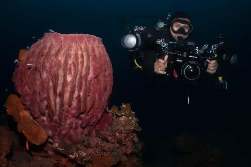 Exclusive private dive guide and underwater photography - Final Thoughts