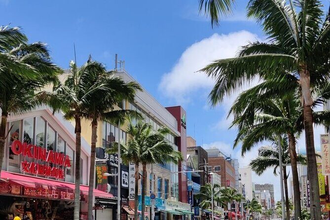 Exclusive Private Full Day Okinawa Island Tour with a Local Guide - What Makes This Tour Stand Out?