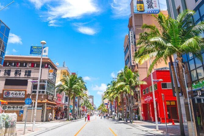 Exclusive Private Full Day Okinawa Island Tour with a Local Guide - The Practicalities: What to Expect