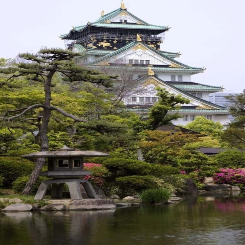 Exclusive Private Guided Tour of Osaka & Nara, Customize - Why Choose This Tour?