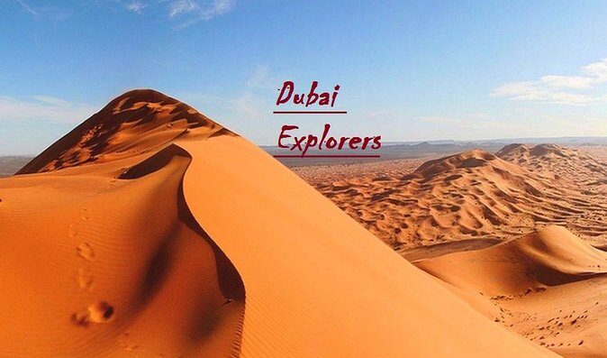 Exclusive Private Morning Desert Safari Adventure in Dubai - The Sum Up