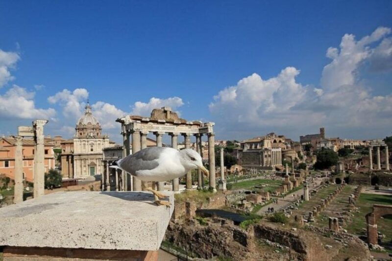 exclusive-private-tour-colosseum-roman-forum-and-palatine