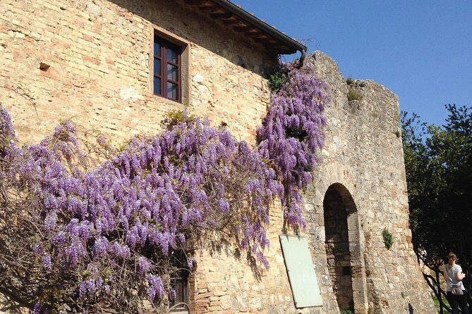 Exclusive Private tour To Siena and San Gimignano - Exploring the Private Tour to Siena and San Gimignano: An Honest Look
