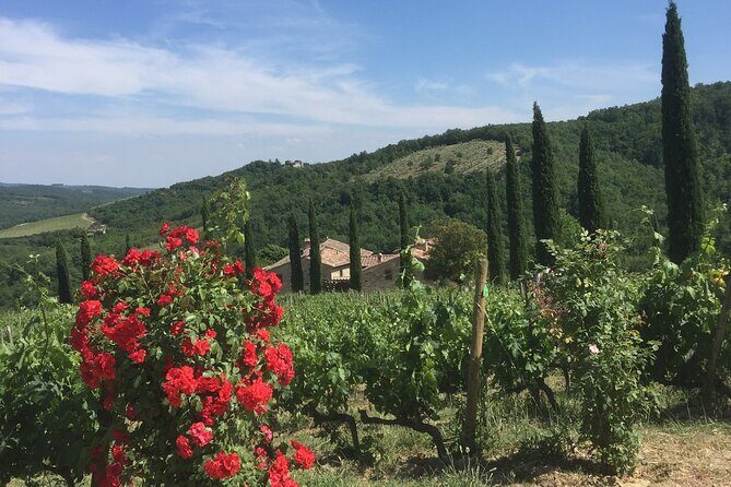 Exclusive Private tour To Siena and San Gimignano - The Sum Up