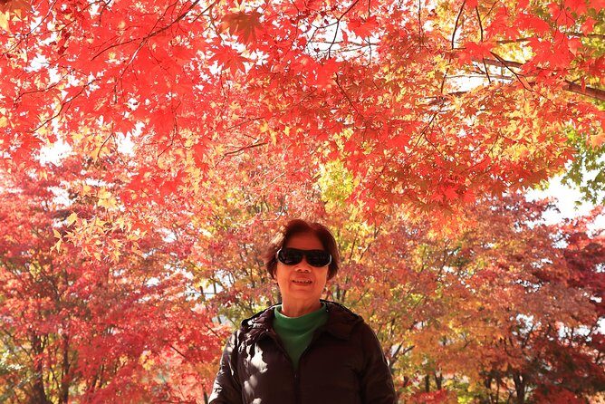 Exclusive Private Trip to Mt Seorak & East Sea!! - Final Thoughts: Who’s This Tour Best For?