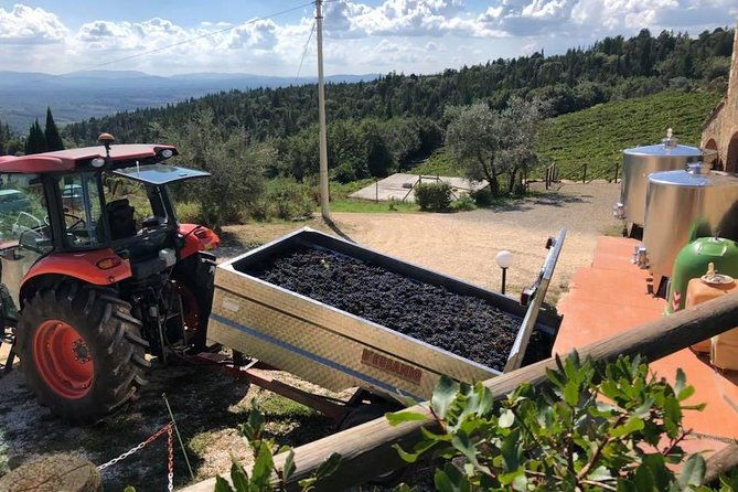 exclusive-private-tuscany-wine-tour-food-pairing-session