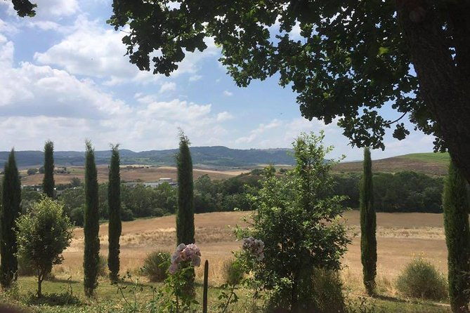 exclusive-private-tuscany-wine-tour-food-pairing-session